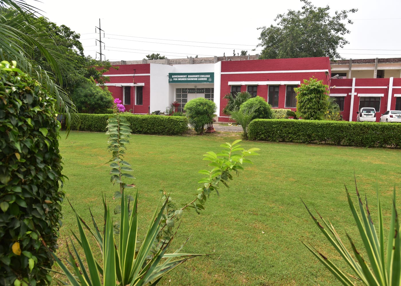 Our College Campus